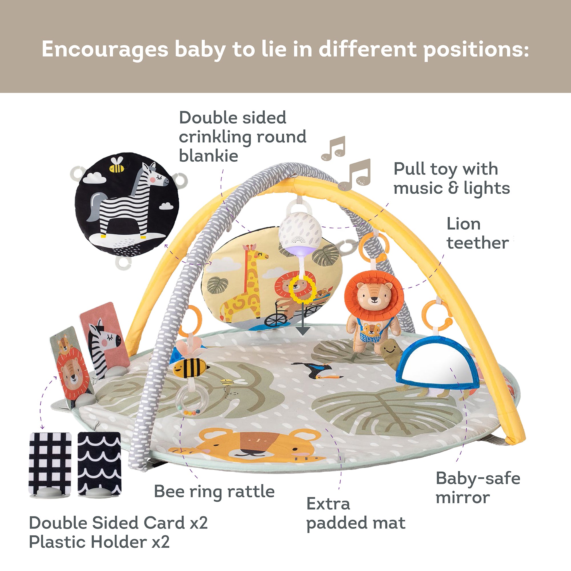 Gimnasio 360 ° Savannah