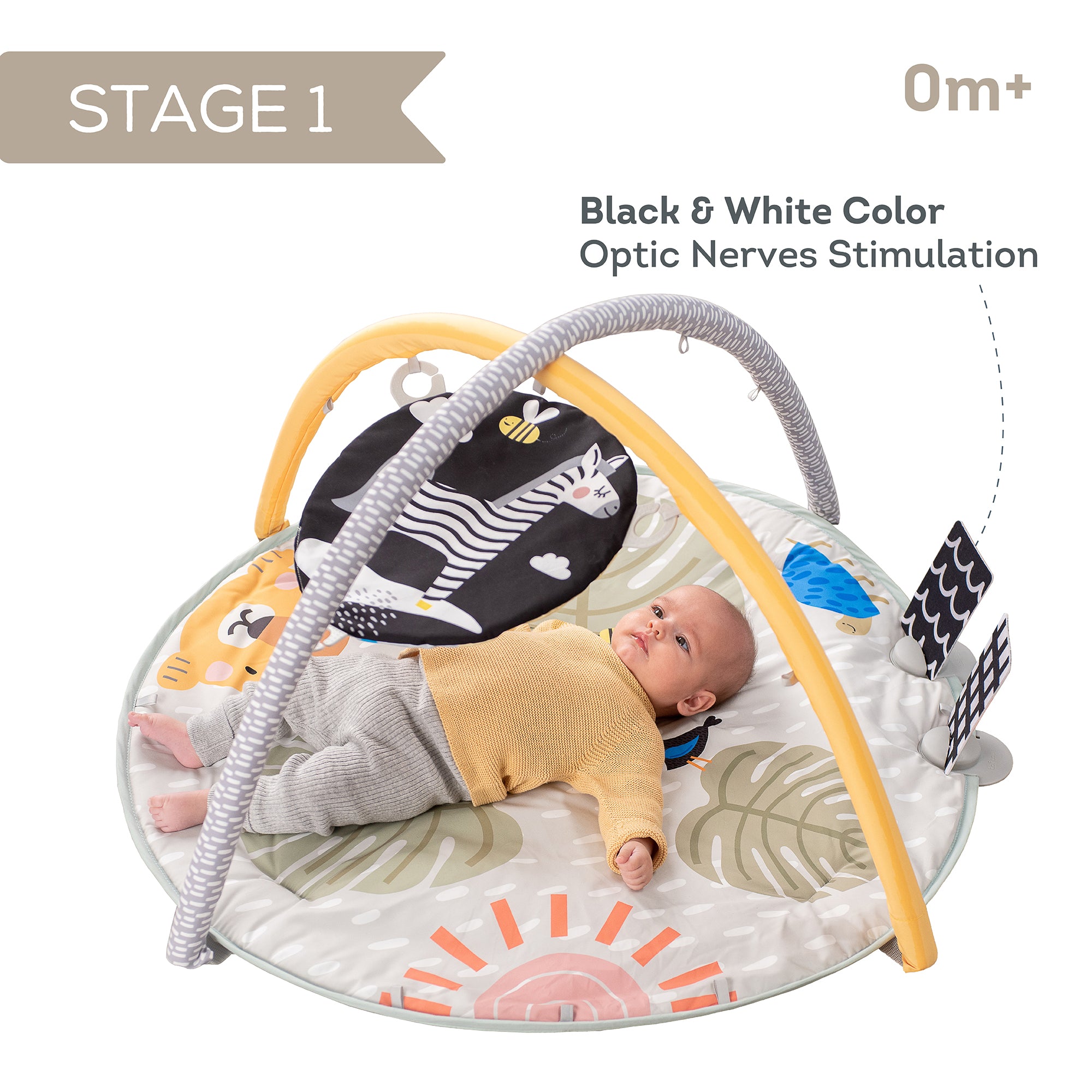 Gimnasio 360 ° Savannah