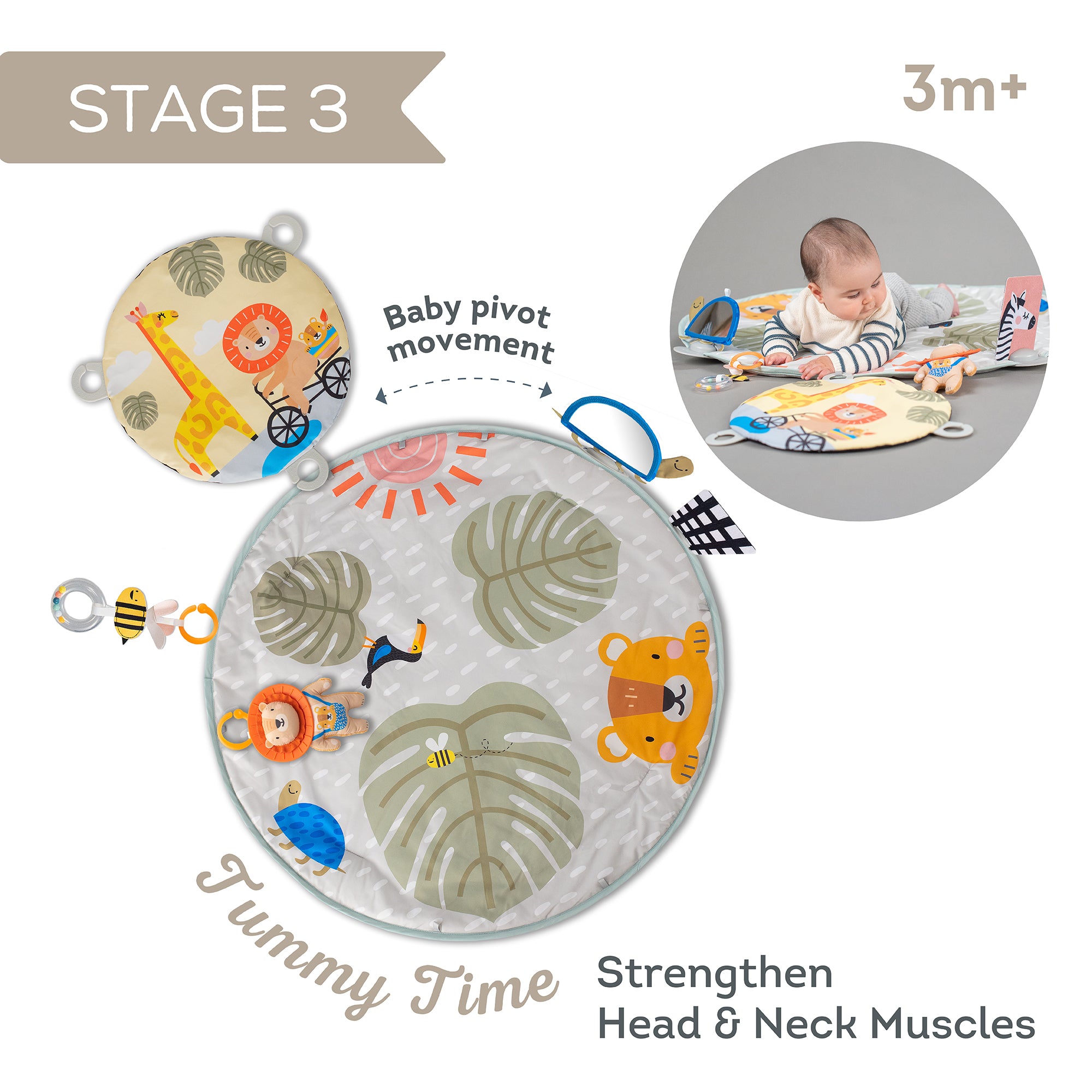 Gimnasio 360 ° Savannah