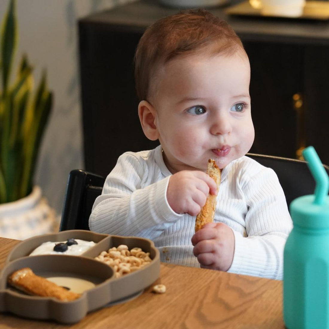 Plato de silicona con succión - Oso