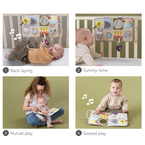 Centro de Actividades de Desarrollo