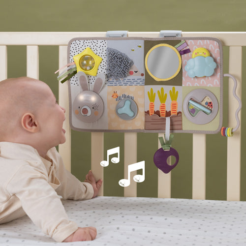 Centro de Actividades de Desarrollo