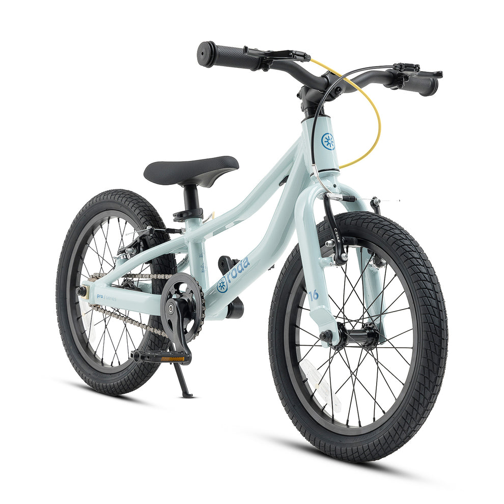 Bicicleta Roda Pro Series Aro 16 v4