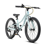 Bicicleta Roda Pro Series Aro 20 v4