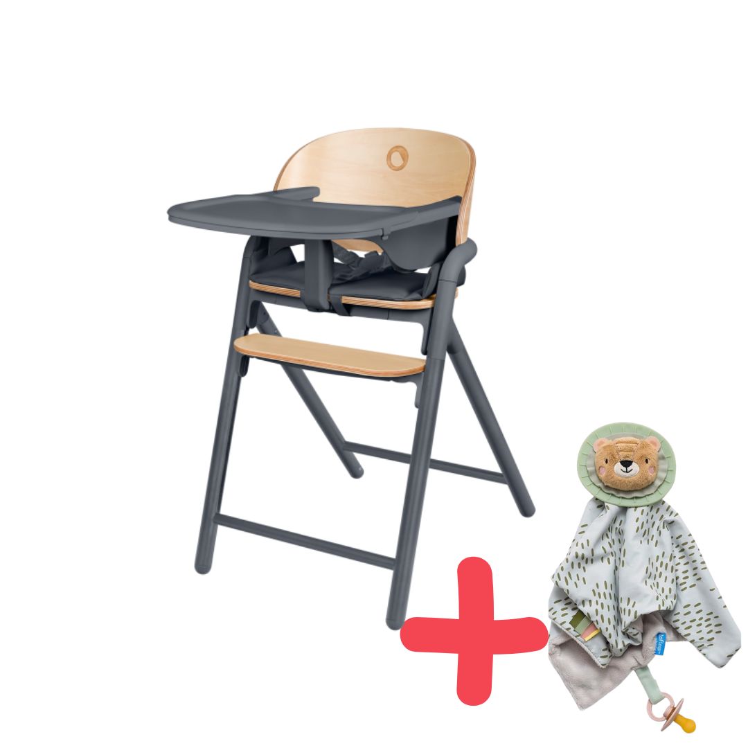 Silla de Comer Evolutiva Celia + REGALO