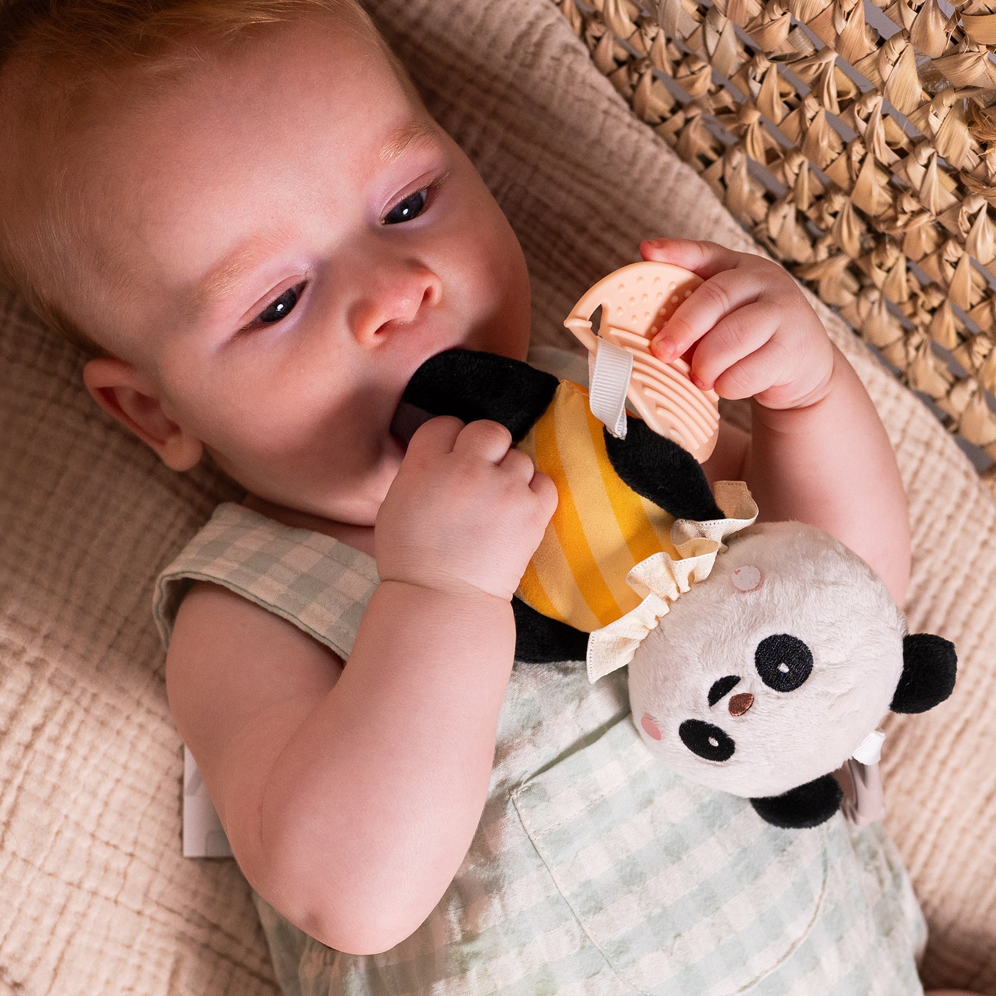 Peluche de actividad con Pamela