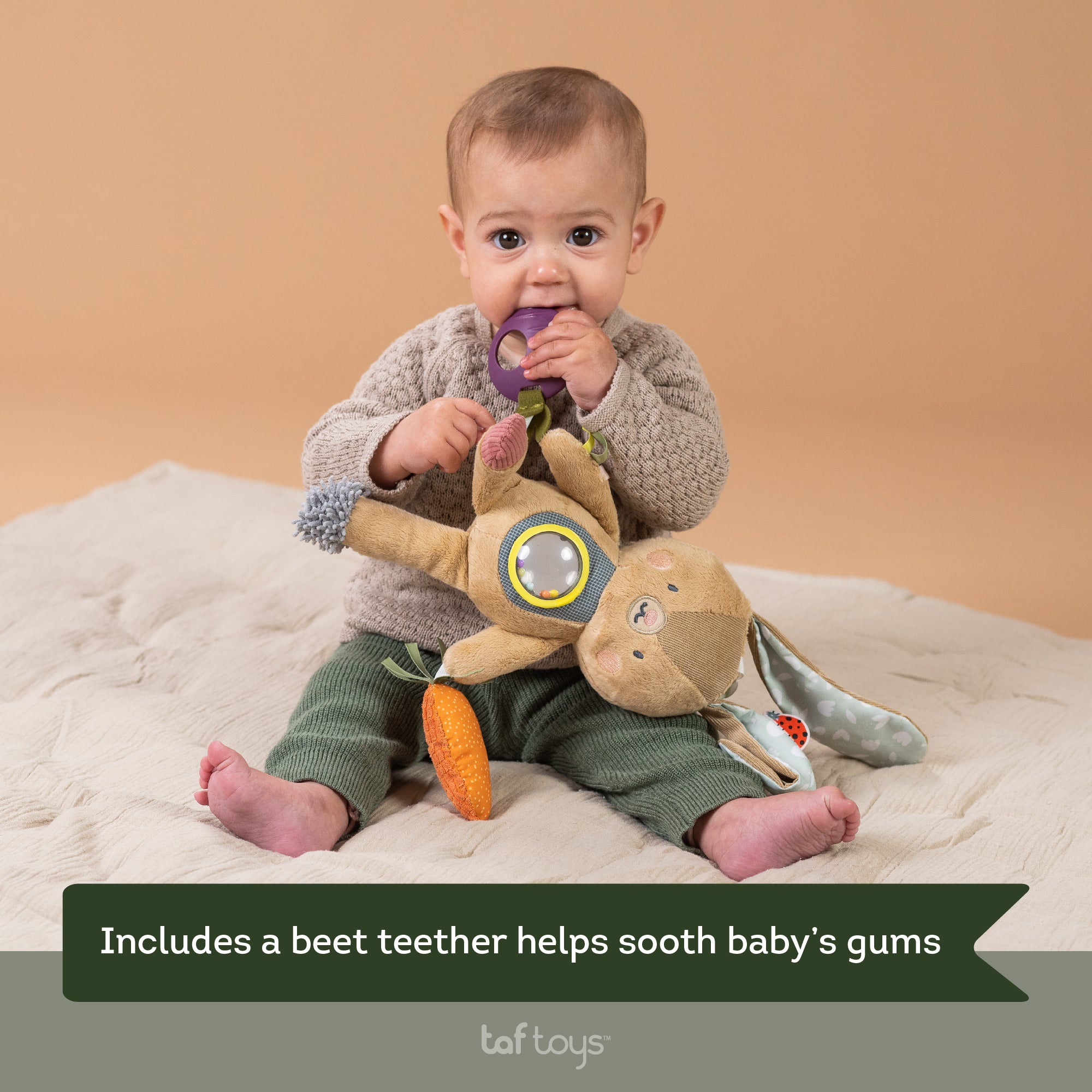 Conejo De Actividades Jenny