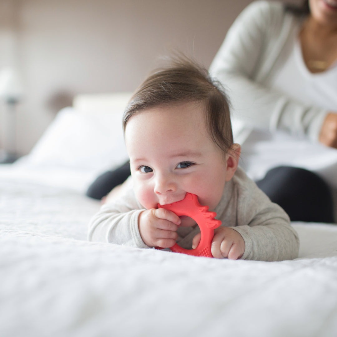 Mordedor Flexible 3M+ Zorro Rojo