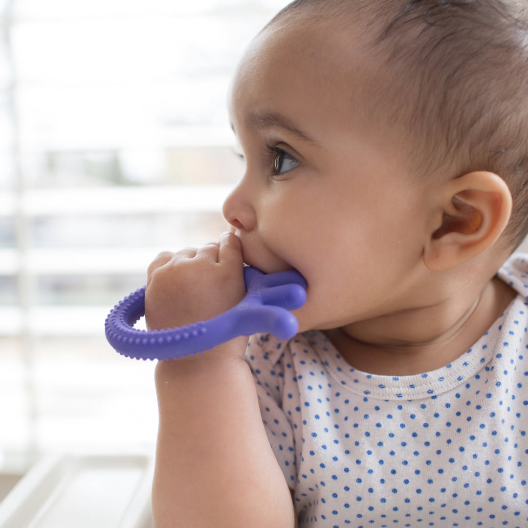 Mordedor Flexible 3M+ Pulpo Morado