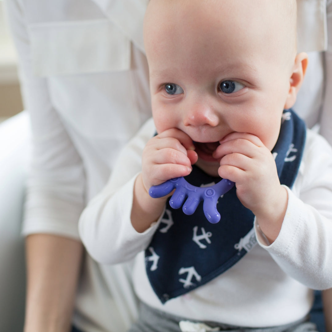 Mordedor Flexible 3M+ Pulpo Morado