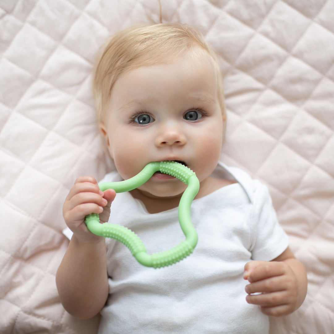 Mordedor flexible en forma de "A" 3M+ Verde