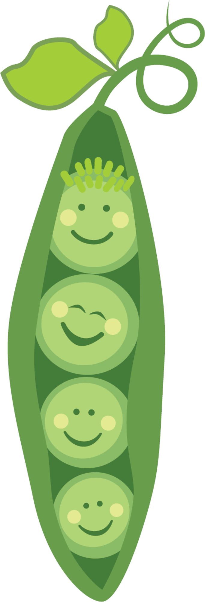 Mordedor y cepillo de dientes de aprendizaje 3M+, Arveja Verde