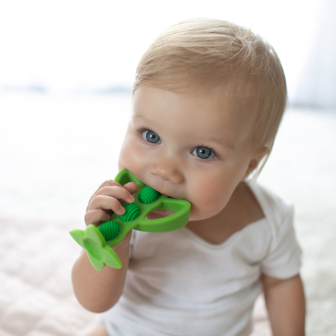 Mordedor y cepillo de dientes de aprendizaje 3M+, Arveja Verde