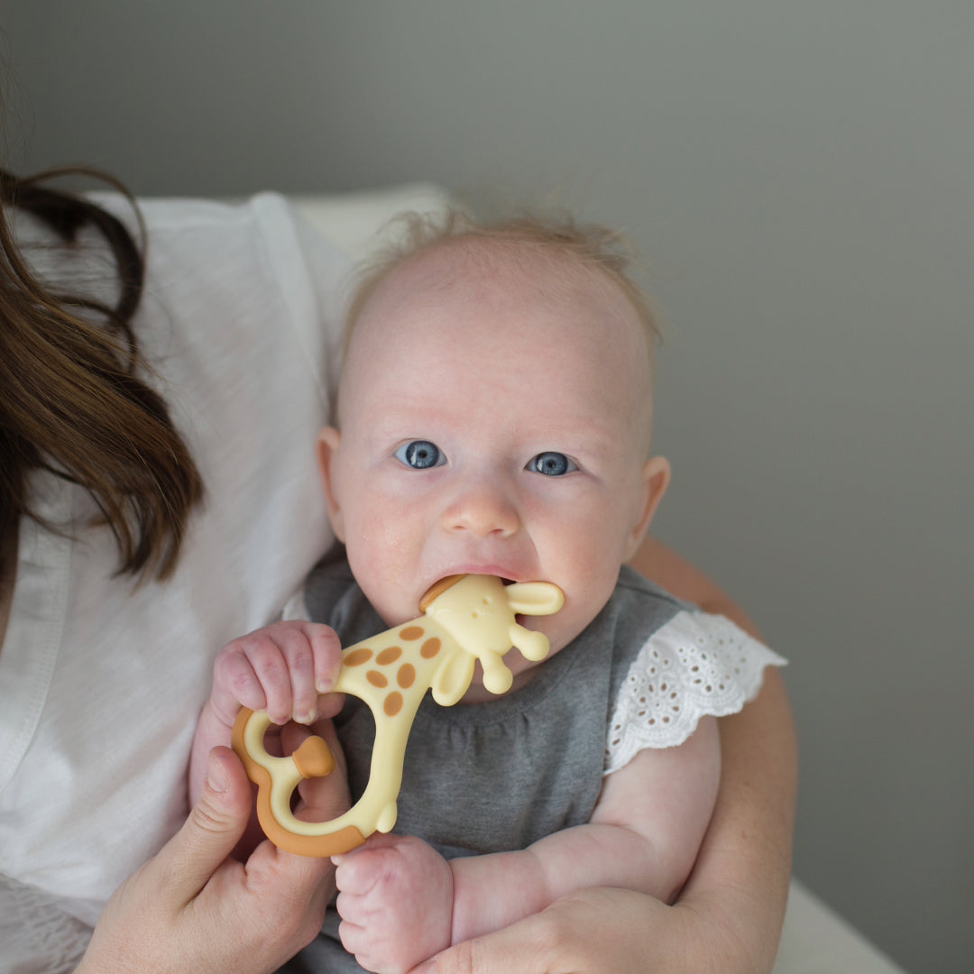 Mordedor Masajeador 3M+ Jirafa