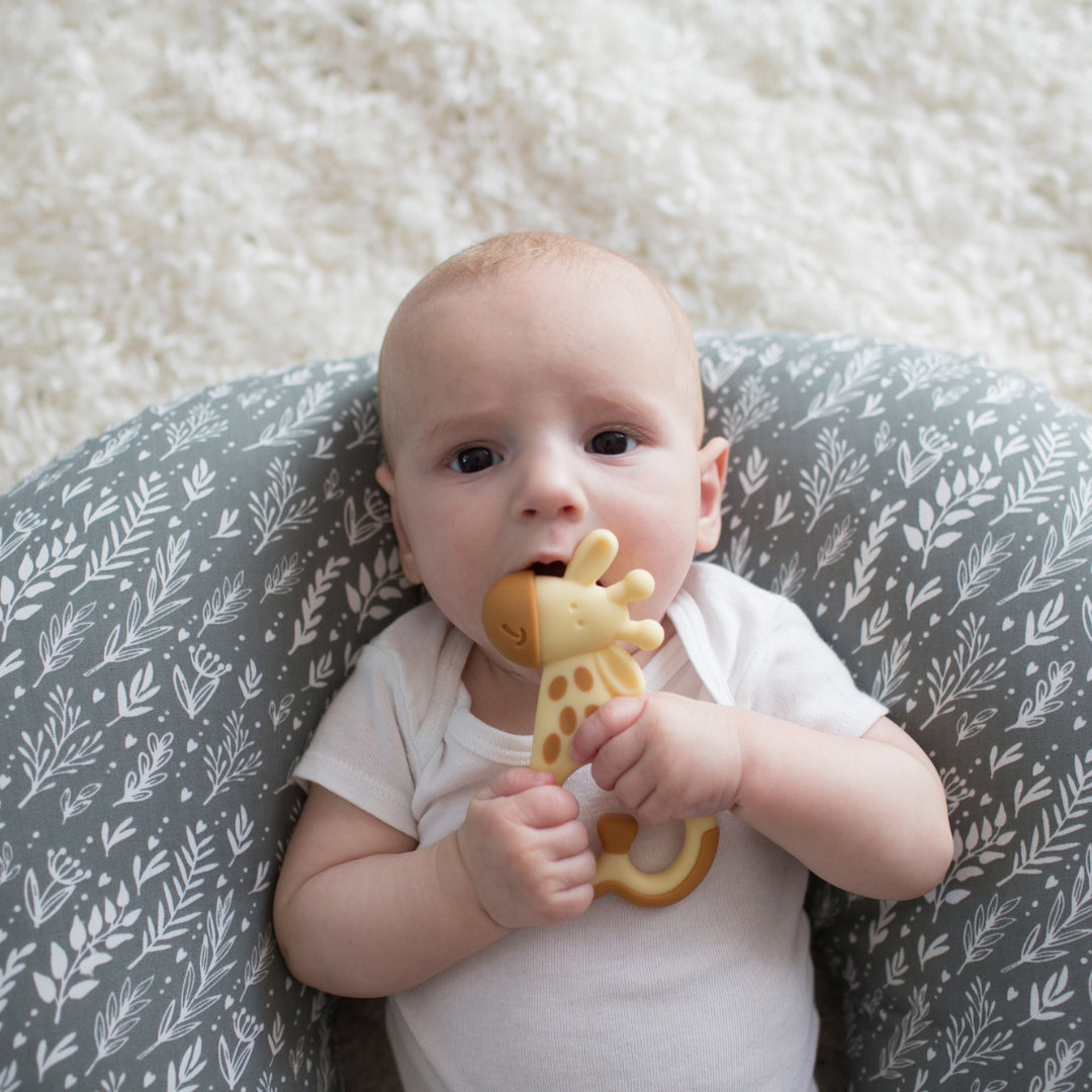 Mordedor Masajeador 3M+ Jirafa