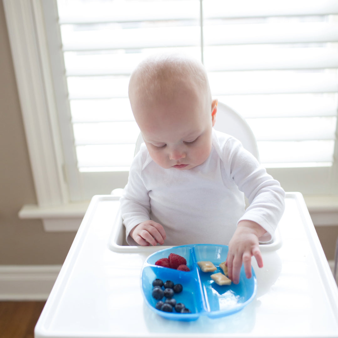 Pack 3 Platos divididos 4M+