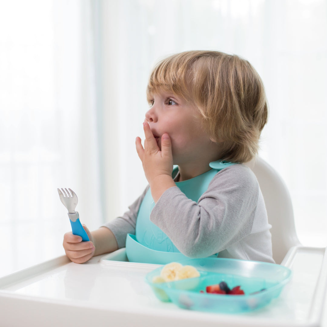 Pack 3 Platos divididos 4M+