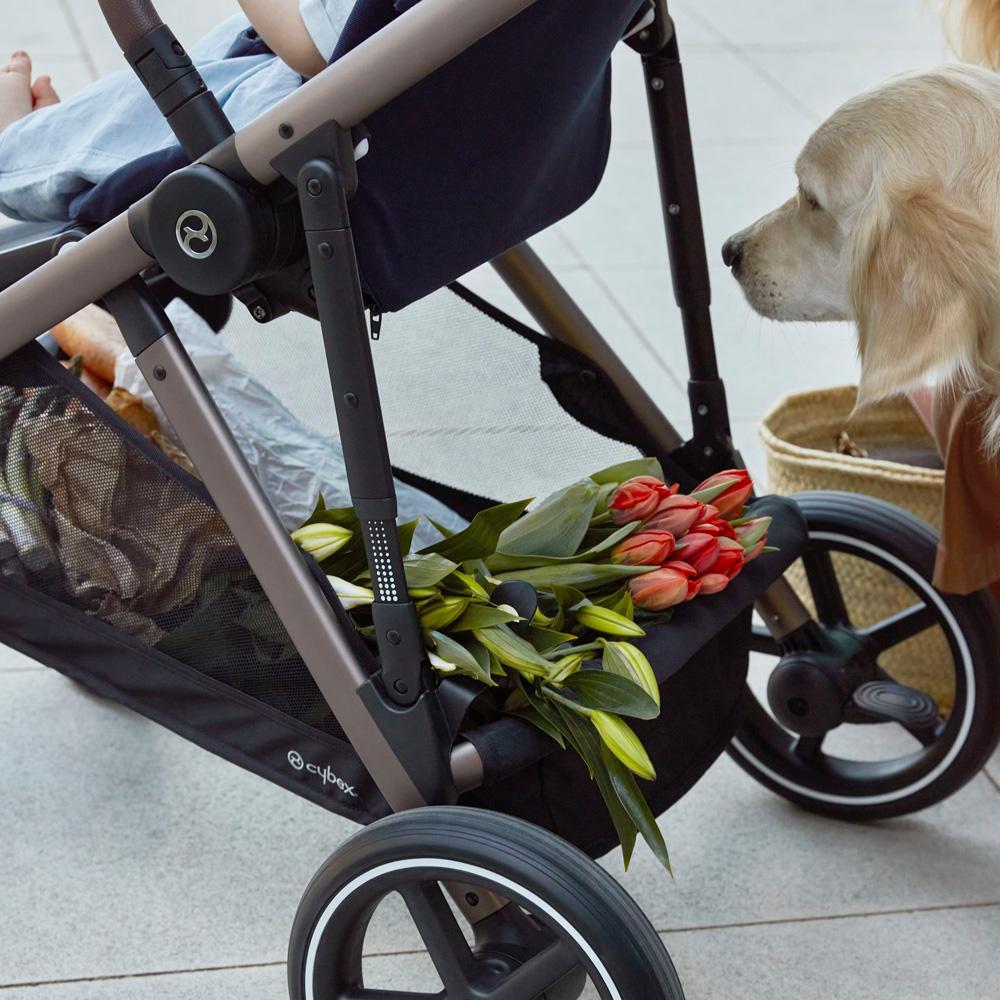 Coche de paseo Gazelle S