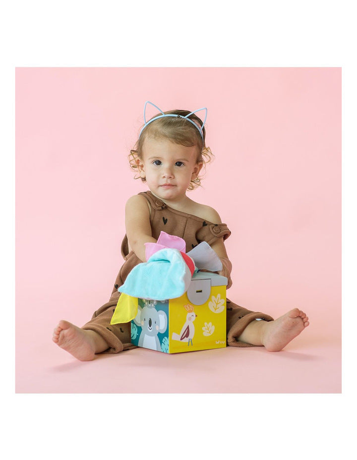 Cajita de Pañuelos Tissue Koala