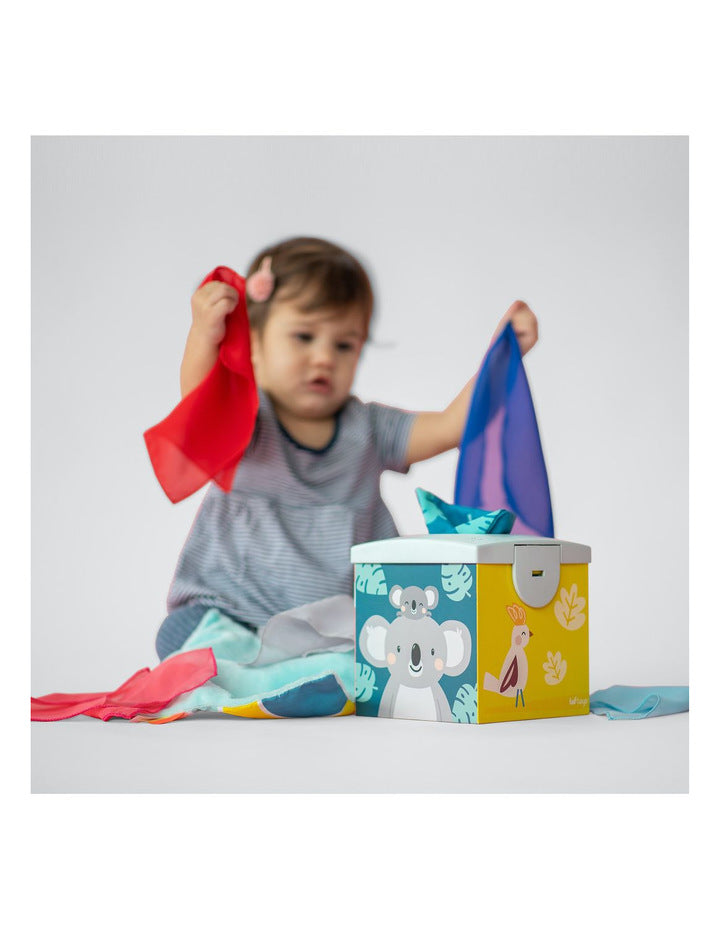 Cajita de Pañuelos Tissue Koala