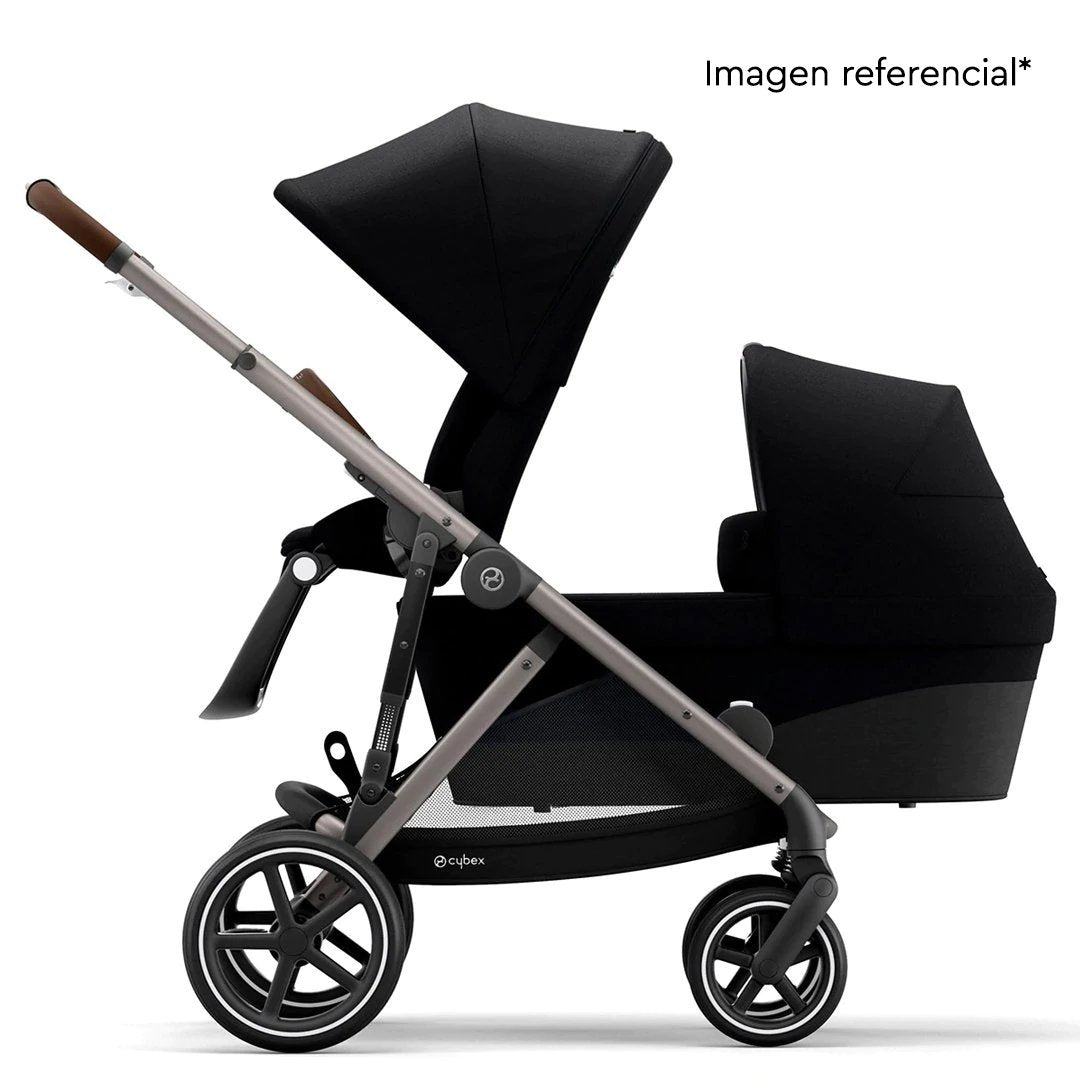 Moises Cot  Gazelle S