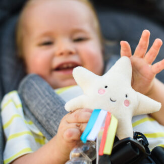 Sonajero Palo de Agua Estrella