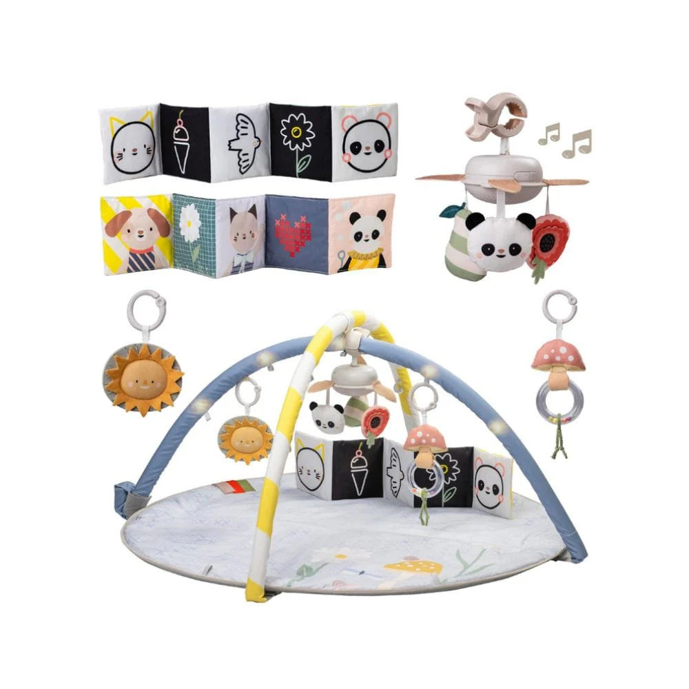 Gimnasio Con Melodia